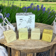 Gray Toile de Jouy gift box with intricate patterns, containing four artisanal Marseille cube soaps in Honeysuckle, Almond, Verbena, and Jasmine fragrances.