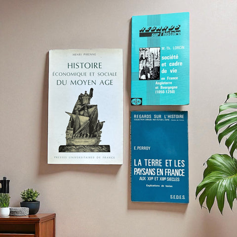 Le Moyen Âge: Société, Économie & Cadre de Vie — 3-Volume Scholarly Bundle