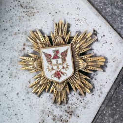 Vintage White Enamel Griffin Heraldic Shield Sunburst Gold Tone Brooch