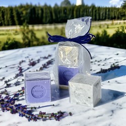 Lavender Mini Marseille Soaps - Gift Set of 2