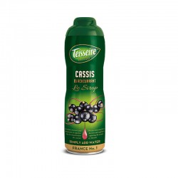 Teisseire Syrup - Blackcurrant