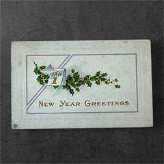 Embossed vintage New Year postcard with holly leaves and berries framing a gold “JAN 1” calendar; “New Year Greetings” printed in gold below. Made by Stechler Litho Co., postmarked December 1920.