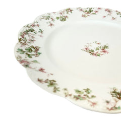 Antique French Limoges Haviland Pink and Green Floral Porcelain Plate