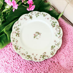 Antique French Limoges Haviland Pink and Green Floral Porcelain Plate