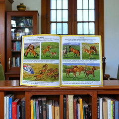 Vintage French children’s book bundle featuring L’Imagerie de la Ferme (1995) and L’Imagerie du Poney et du Cheval (1998) by Fleurus, displayed with colorful illustrated covers and charming countryside themes.