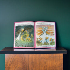 Bundle of two French children's books from the 'L’Imagerie des Tout-Petits' series by Fleurus, featuring 'Les Sorcières et les Fées' (1997) and 'Les Princesses' (2003), shown in excellent vintage condition.