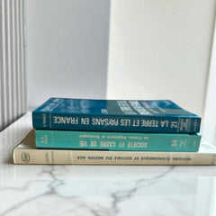 Le Moyen Âge: Société, Économie & Cadre de Vie — 3-Volume Scholarly Bundle