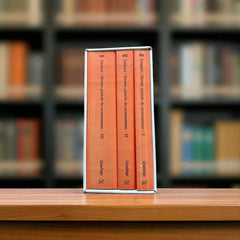 Protestantism in Perspective: Reformation, Establishment & Renewal (3-Volume Set)