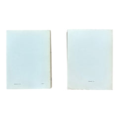 La Vie Politique en France — 2-Volume Set by Jacques Chapsal