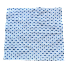 Provence cotton napkins in white with blue floral pattern from the Le Cluny Lisa French Country Collection.