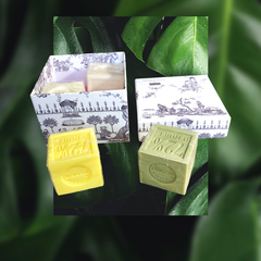 Marseille Soap Gift Box  - Toile de Jouy Gray - Senteurs de France